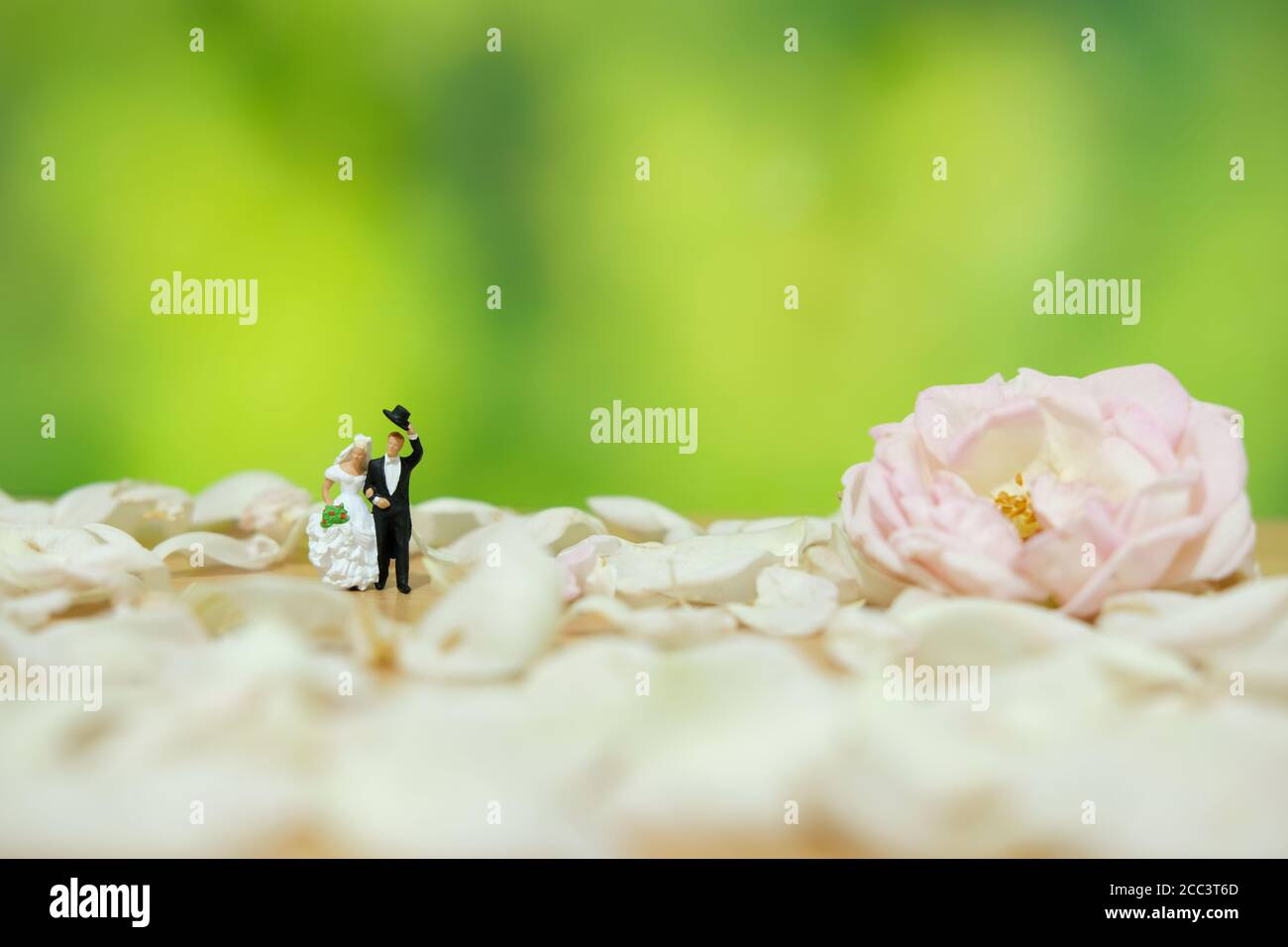 Miniaturfotografie - Outdoor Garten Hochzeitszeremonie Konzept, Braut und Bräutigam zu Fuß auf weißen Rosenblüten Haufen Stockfoto