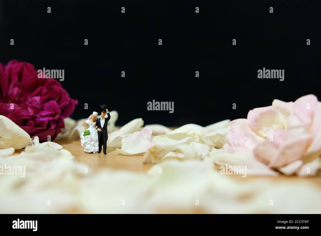 Miniaturfotografie - Outdoor Garten Hochzeitszeremonie Konzept, Braut und Bräutigam zu Fuß auf weißen Rosenblüten Haufen Stockfoto