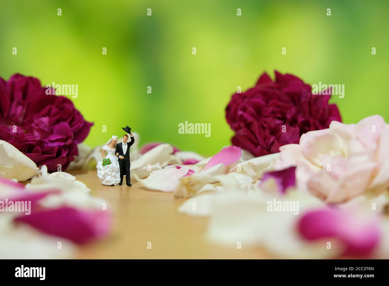 Miniaturfotografie - Outdoor Garten Hochzeitszeremonie Konzept, Braut und Bräutigam zu Fuß auf rot und weiß Rosenblüten Haufen Stockfoto