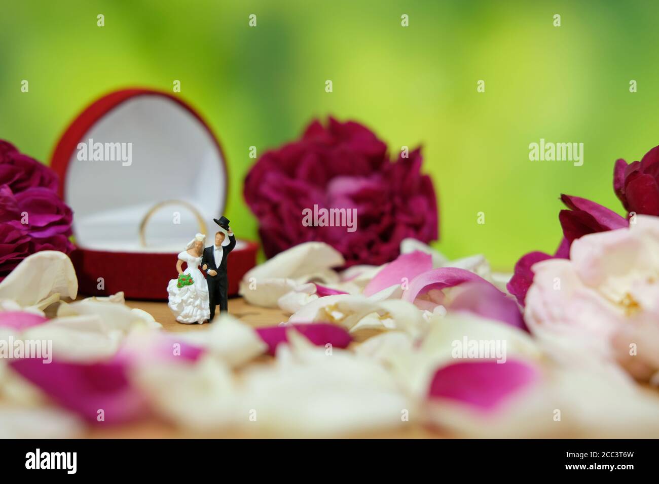 Miniaturfotografie - Outdoor Garten Hochzeitszeremonie Konzept, Braut und Bräutigam zu Fuß auf rot und weiß Rosenblüten Haufen Stockfoto