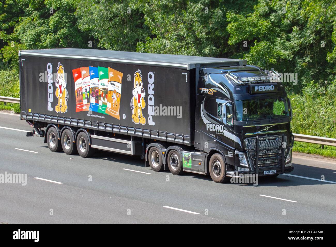 Pedro Pet Foods Speditions Delivery Trucks, LKW, Transport, LKW, Frachtführer, Volvo FH Vehicle, European Commercial Transport industry LKW, M6 in Manchester, UK Stockfoto