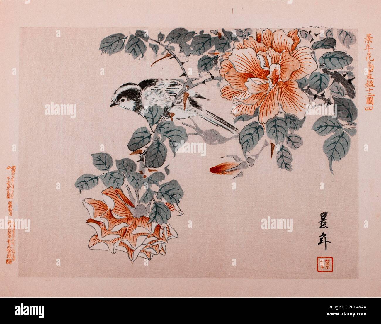 Imao keinen: Keinen Kacho Gafu (Four Seasons Bird and Flower Albums), Bird and Roses. Japan. 1892 Imao keinen (1845 – 1924) war ein japanischer Maler und Stockfoto