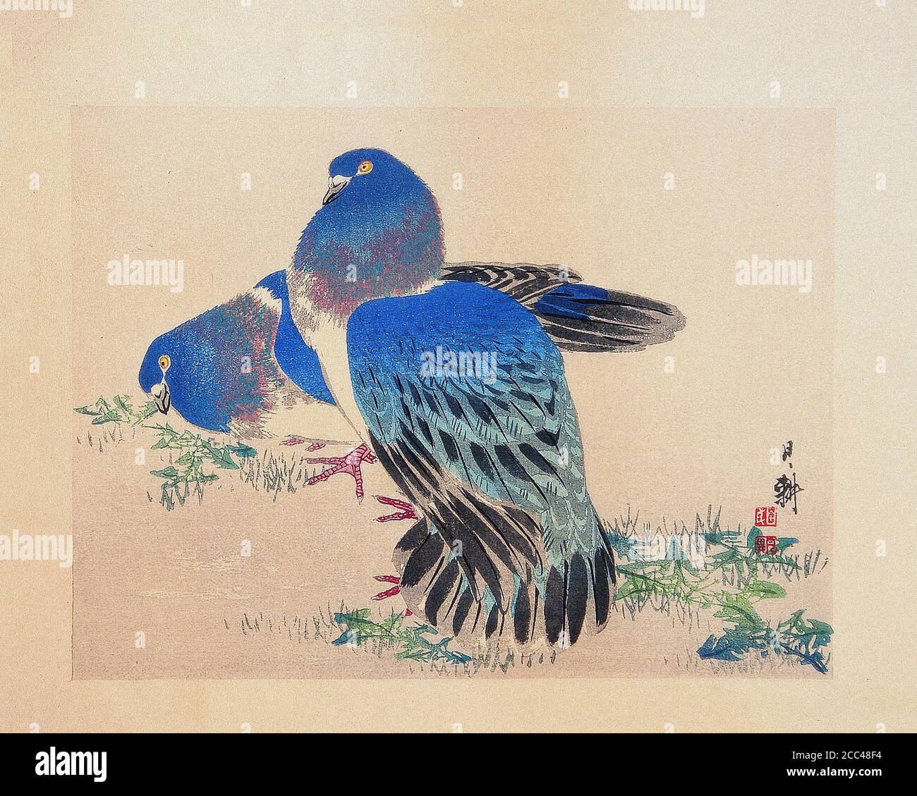 Kono Bairei. Blaue Tauben. 1930er Jahre Kono Bairei (1844 – 1895) war ein japanischer Maler, Buchmaler und Kunstlehrer. Er wurde (als Yasuda Bairei) A geboren Stockfoto