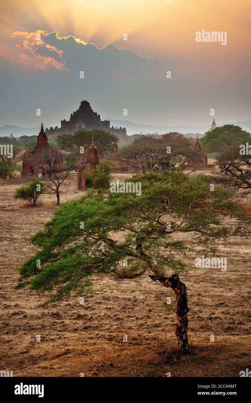 Tempellandschaft in Bagan bei Sonnenuntergang, Burma, Myanmar Stockfoto