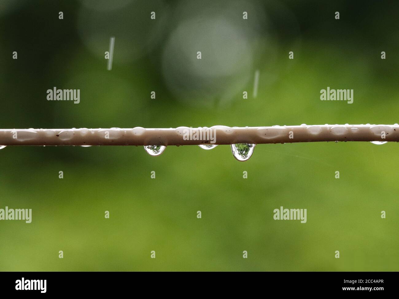 Wassertropfen auf einer Drahttapete Stockfoto