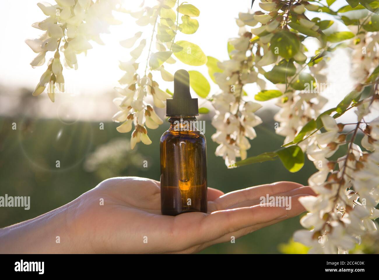 Phytotherapie - Flasche mit weißen Akazienblüten Hintergrund. Stockfoto