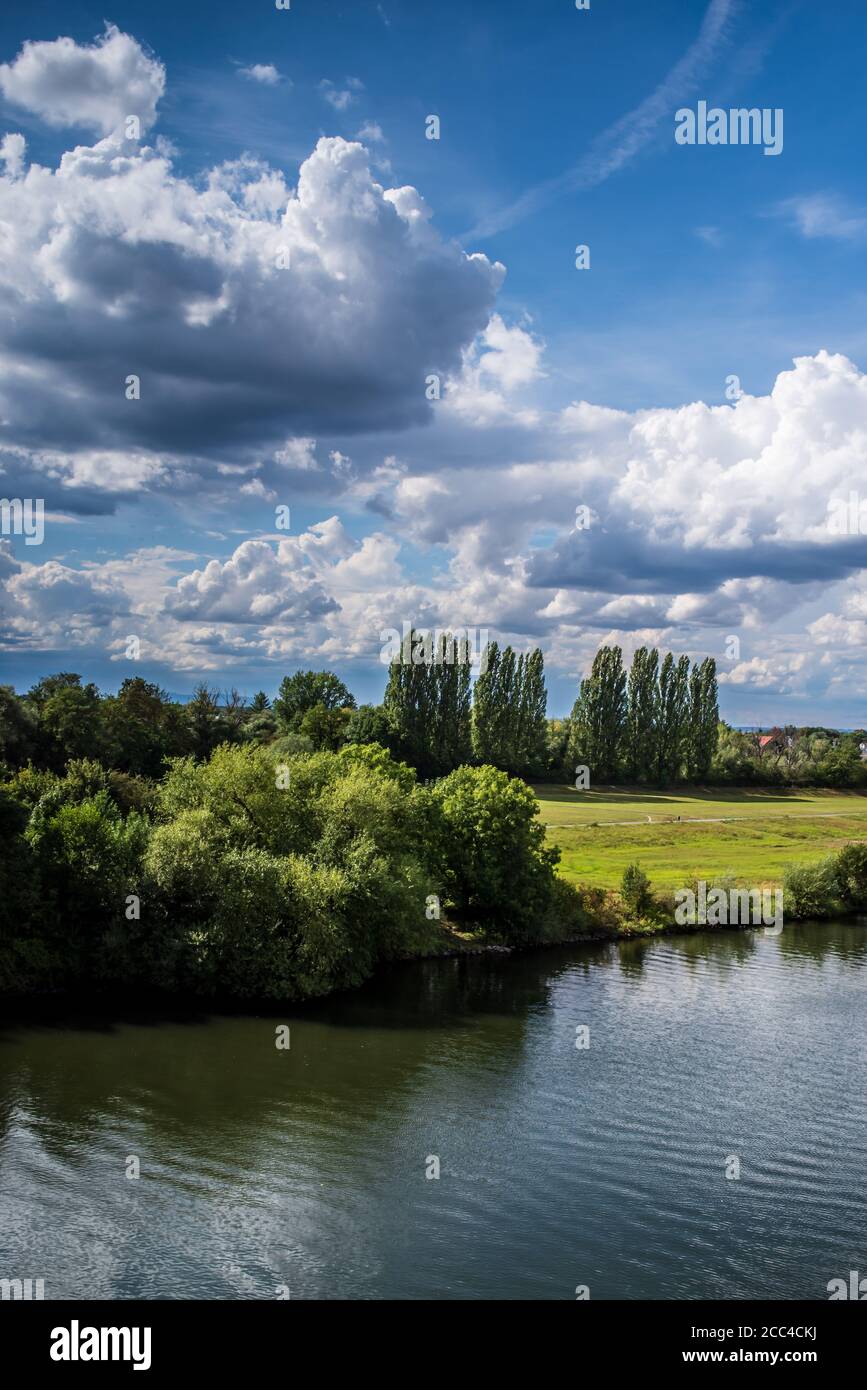 sommerliche Flussidylle am Main Stockfoto