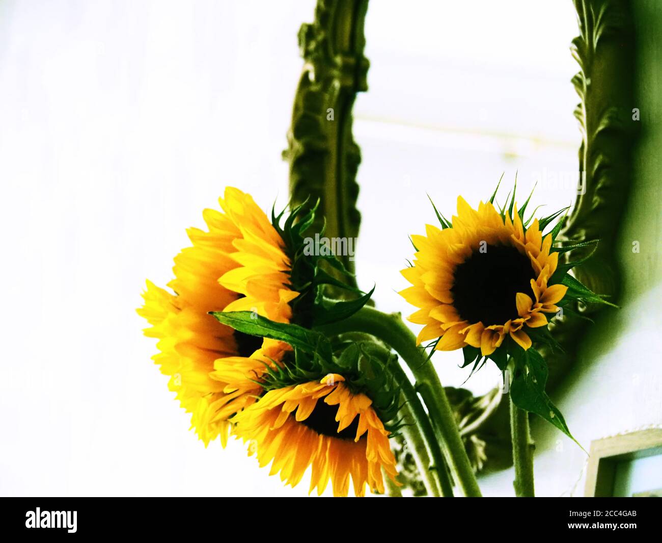 Sonnenblumen in einer Vase mit einem dekorativen Spiegel hinter Kreuz Verarbeitete Farbe Standzeit Stockfoto