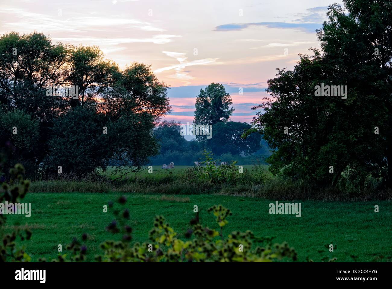 Sonnenuntergang in Linden Limmer Hannover Deutschland Stockfoto