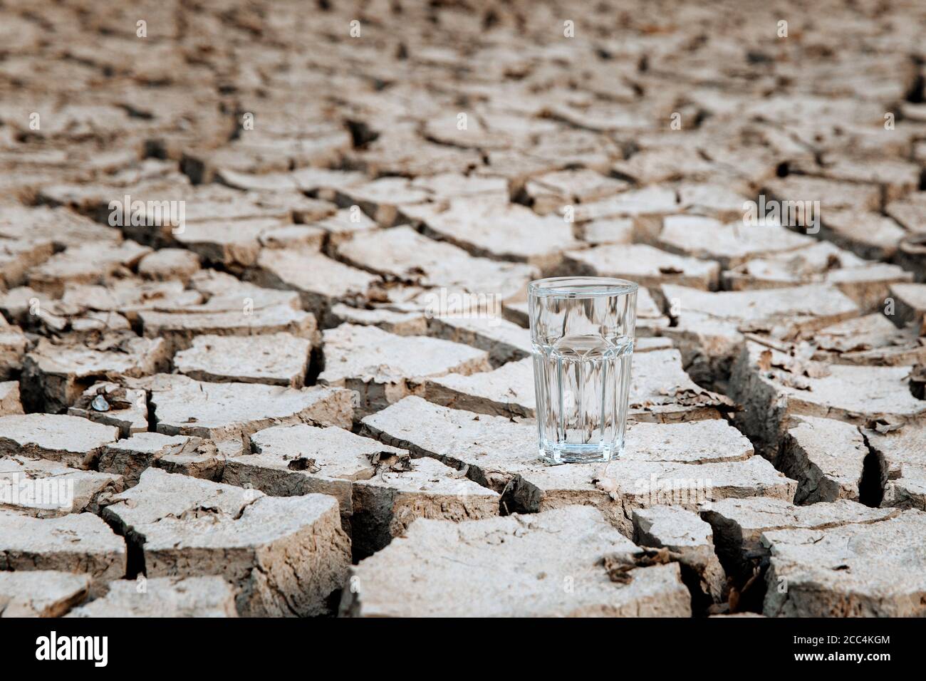 Ein transparentes Glas sauberes Trinkwasser steht inmitten von trockenem, rissem Wüstenland. Konzept der globalen Erwärmung. Dürre und Wasserkrise Stockfoto