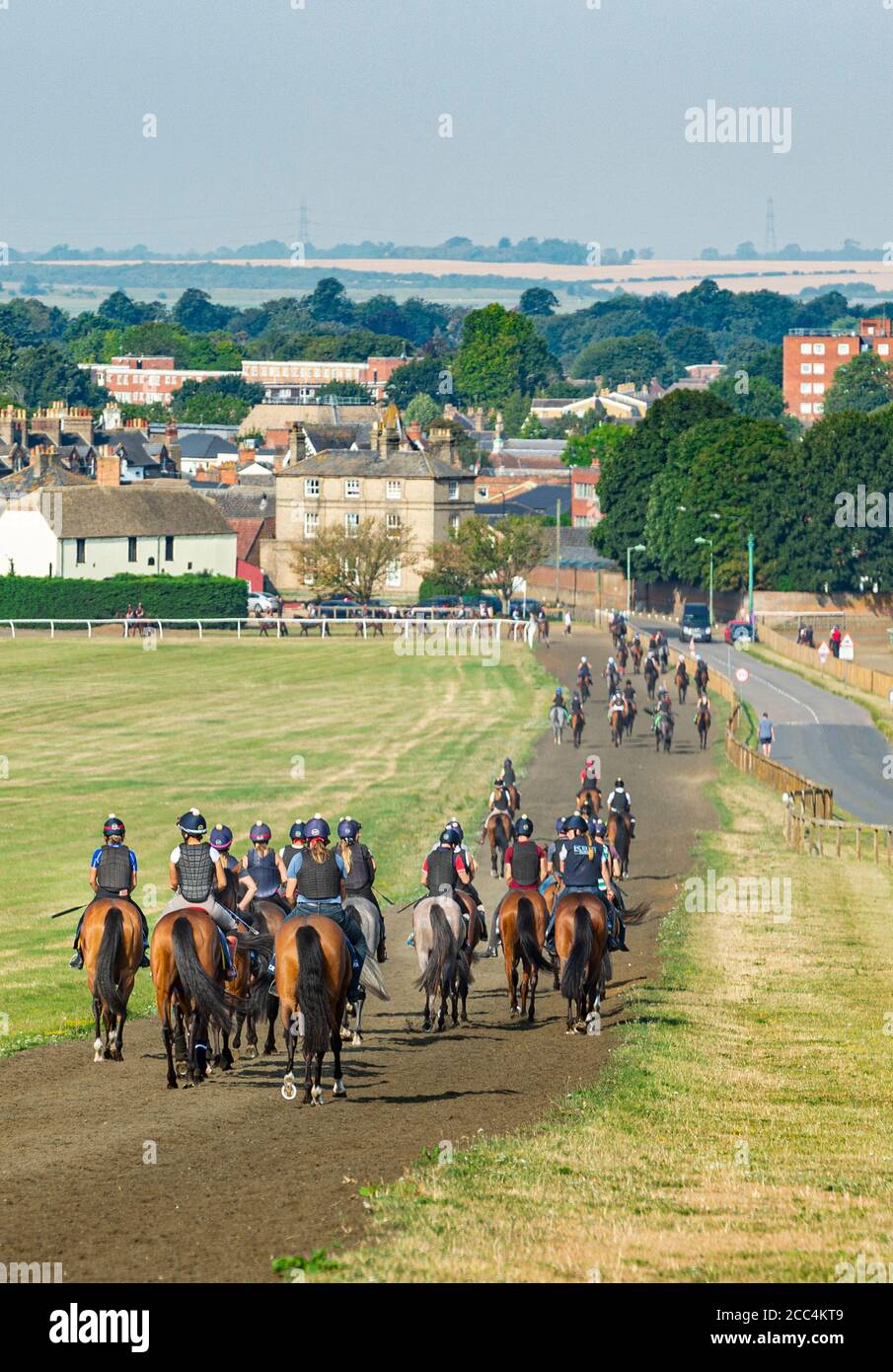 Newmarket, Suffolk, England, UK – Blick von Warren Hill auf die Stadt  Newmarket mit einer Reihe von Pferden im Vordergrund Stockfotografie - Alamy