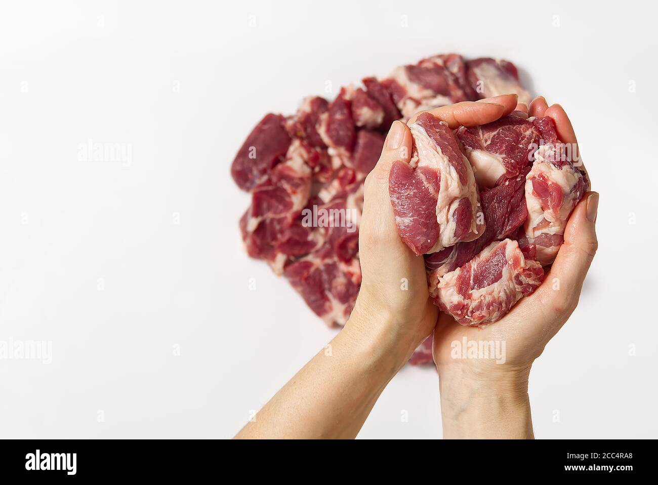 Gehacktes rohes Schweinefleisch in den Händen. Eine Frau hält fein geschnittenes Schweinefleisch ein Zeichen weißen Hintergrund. Feines Schweinefleisch Konzept. Stockfoto