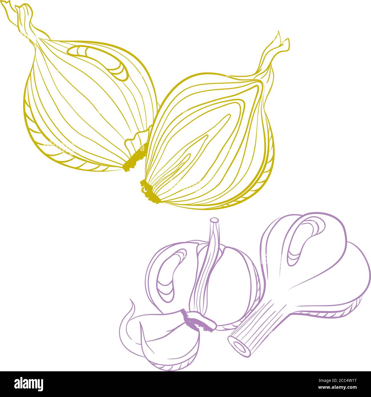 Einfarbige Zeichnung von Zwiebel und Knoblauch. Vektor handgezeichnete Illustration isoliert auf weißem Hintergrund Stock Vektor