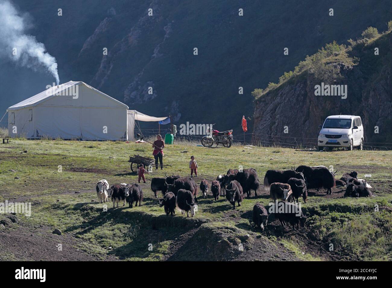 Yak Herder Familie, Zelt, Auto und Yak, in der Nähe von Yushu, im Süden der Provinz Qinghai, China 26. August 2017 Stockfoto