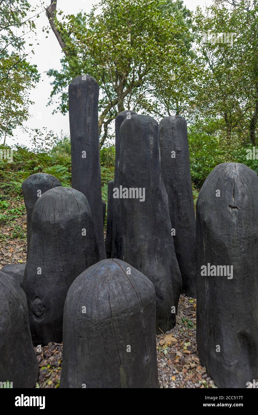 'Black Mound' von David Nash, RA, eine kraftvolle Sammlung verkohlter Eichenformen in einem gemeißelten Gehege: Tremenheere Sculpture Garden, Penzance, Cornwall Stockfoto