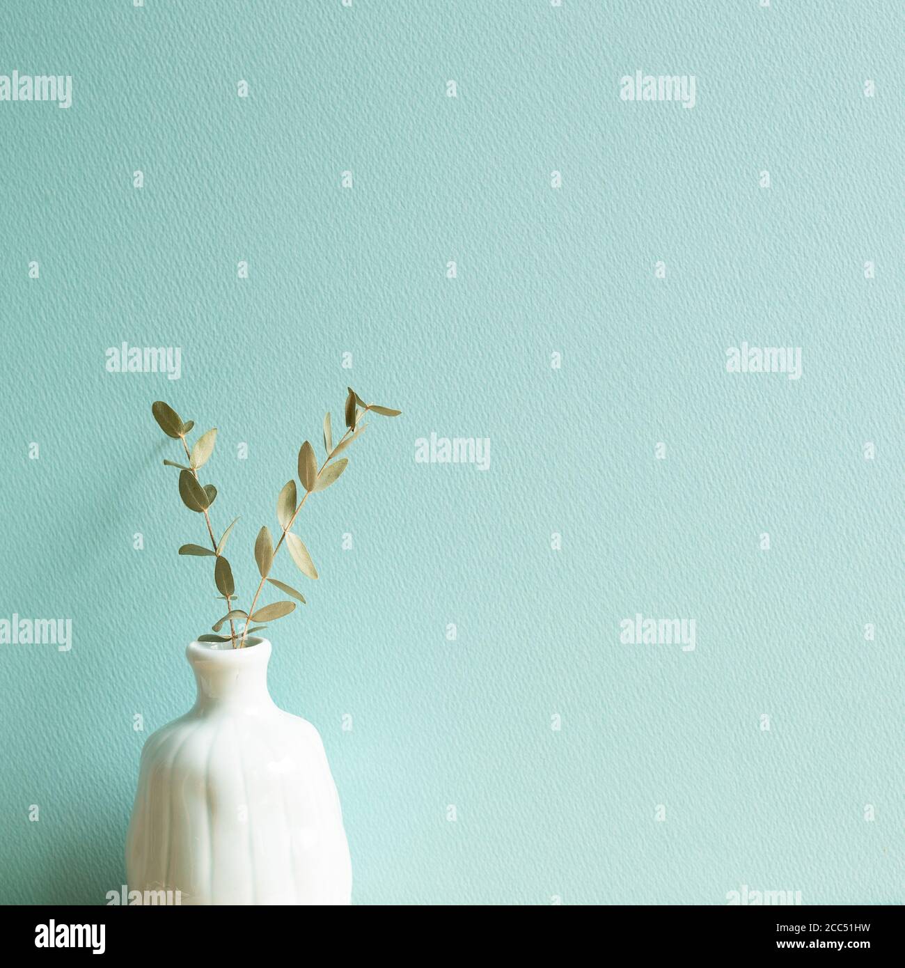 Vase aus Eukalyptusblättern mit grünem Hintergrund Stockfoto