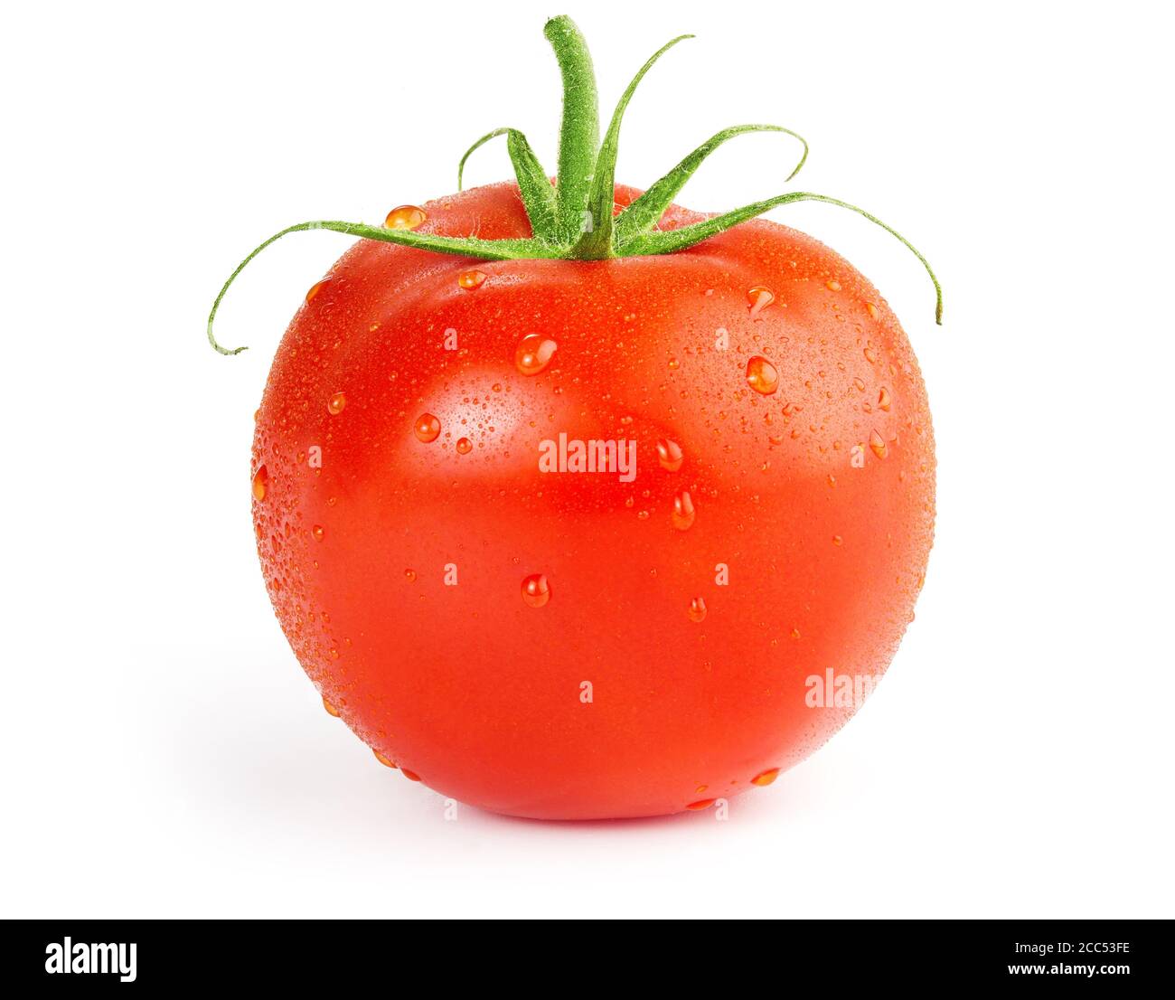 Eine nasse Tomate isoliert auf weißem Hintergrund Stockfoto