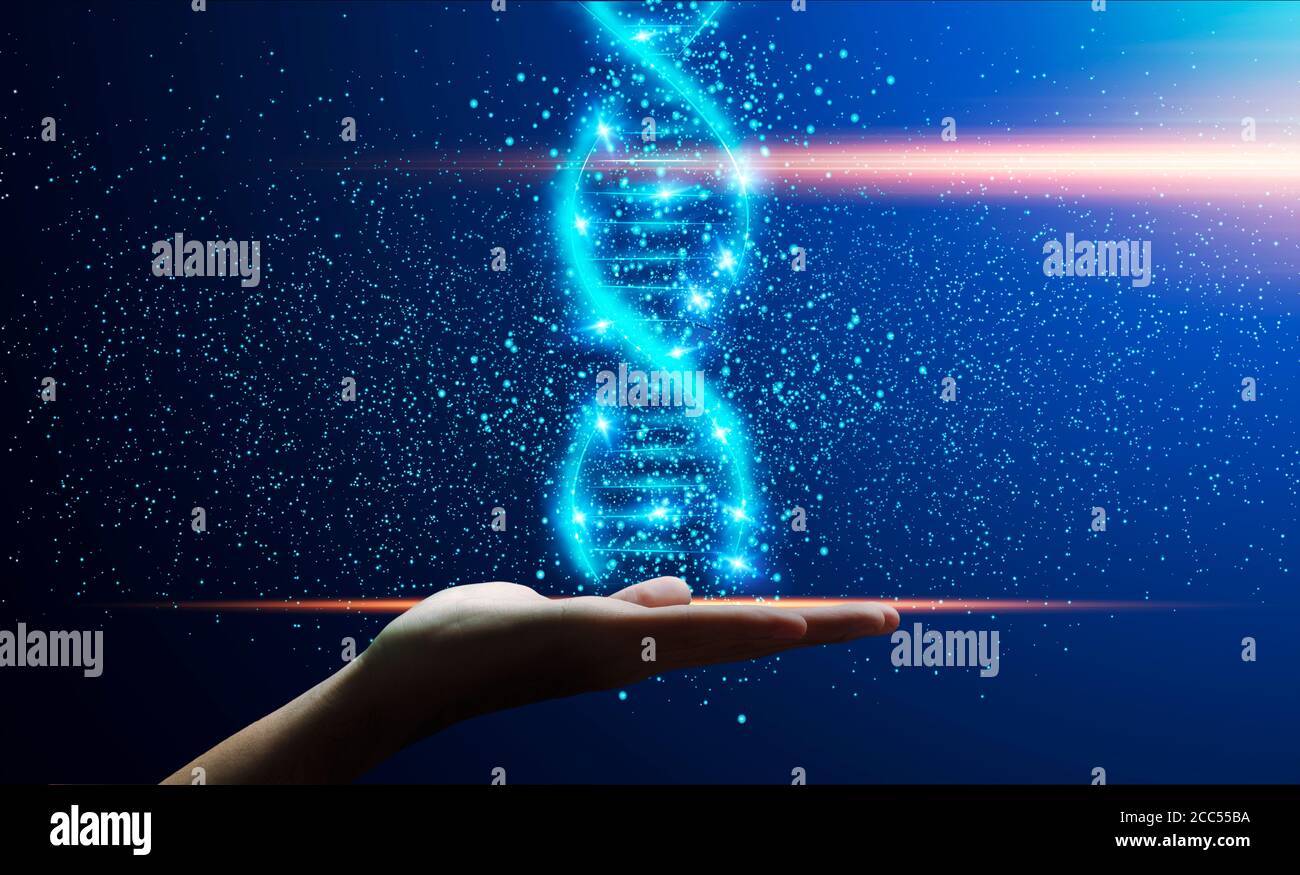 Konzept der Humangenetik. Glänzende DNA-Helix in männlicher Hand über dunkelblauem Hintergrund, Collage Stockfoto