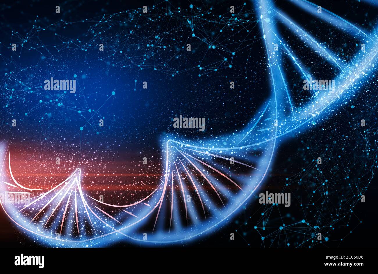 Humane Genomforschung. Illustration mit DNA Doppelspiralmolekül auf dunkelblauem Hintergrund, leerer Raum Stockfoto