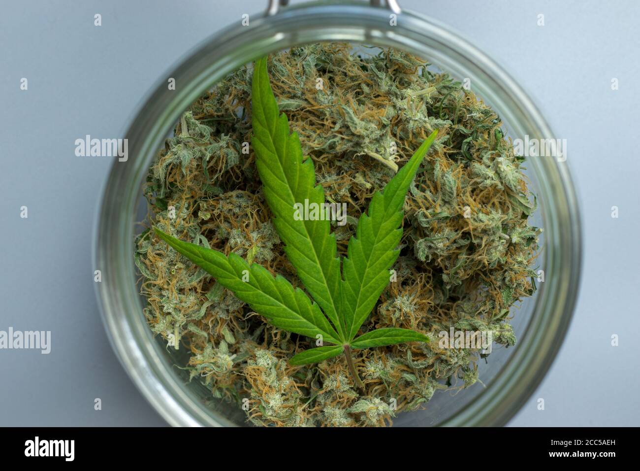 Nahaufnahme eines Cannabisblatts auf der Oberseite der medizinischen Marihuanaknospen. Unkrautkonzept Stockfoto