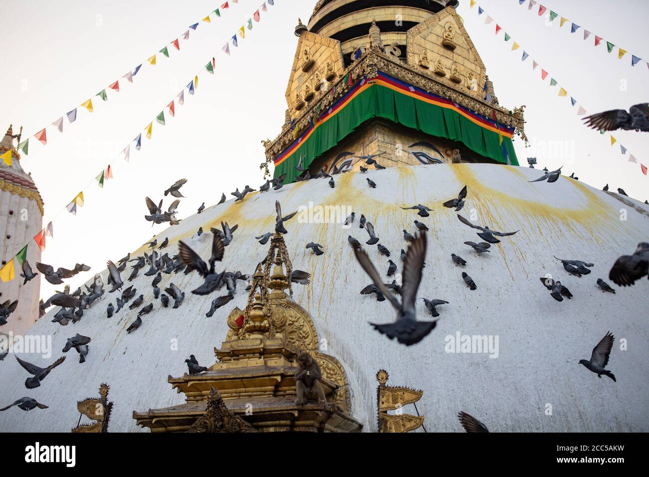 Tauben flattern um die Kuppel des Swayambhunath Stupa in Kathmandu, Nepal. Stockfoto