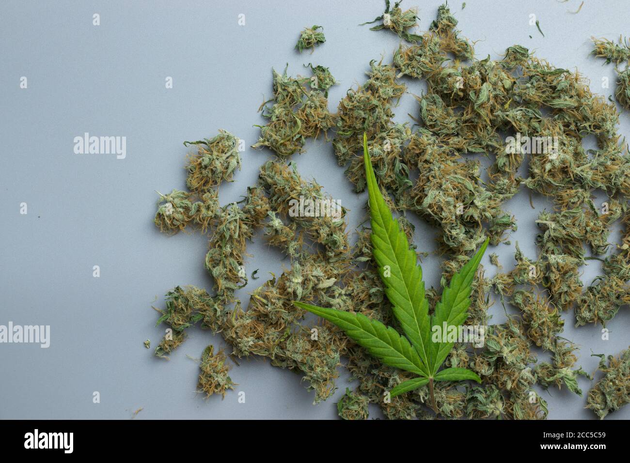 Grünes Cannabisblatt auf Cannabishintergrund mit Kopierraum. Draufsicht auf Unkraut Stockfoto