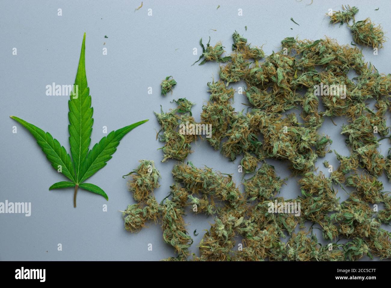 Cannabisblatt und Marihuanaknospen Draufsicht Stockfoto