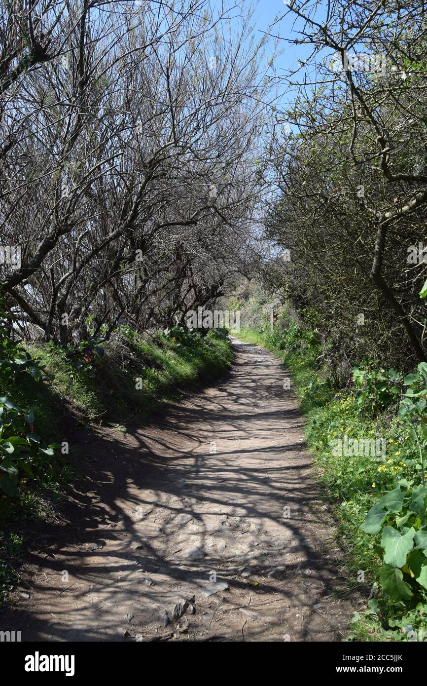 Getuppter Küstenweg Stockfoto