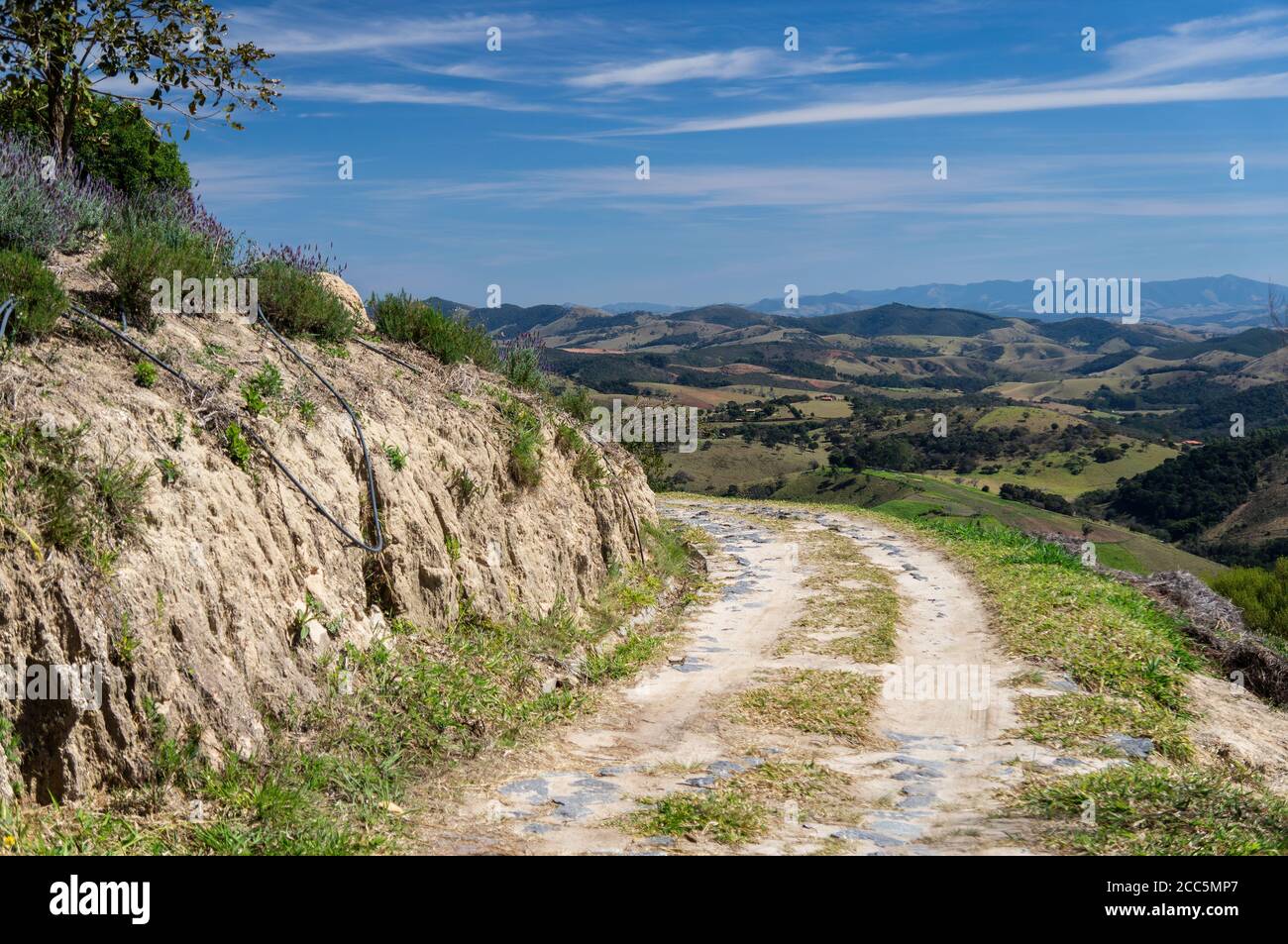 Kurvige Schotterstraße am unteren Teil von 'O Lavandario' Farm, die um die Plantagenfelder geht und bietet klare Blick auf die Berglandschaft Stockfoto