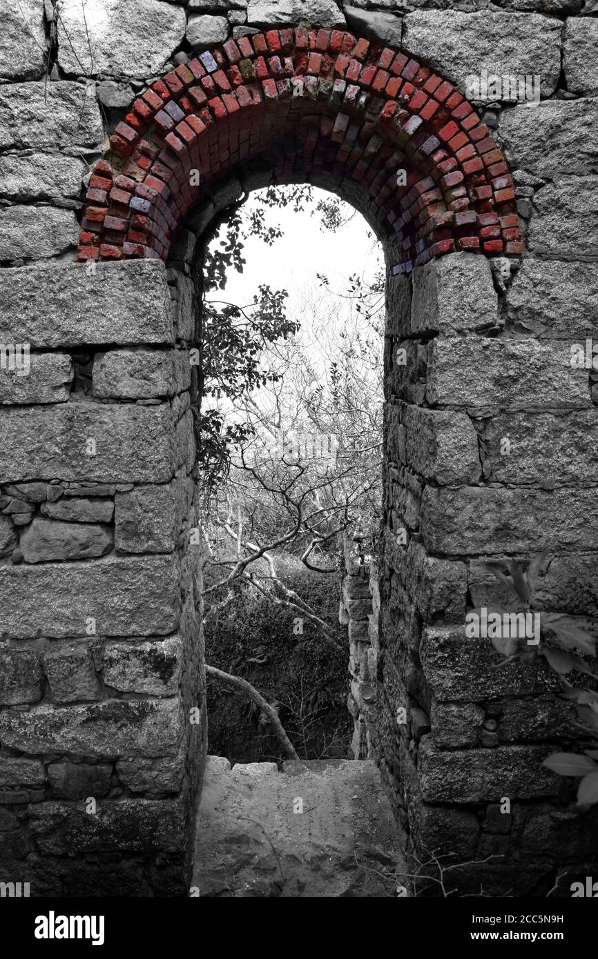 Fenster des Radhauses Stockfoto