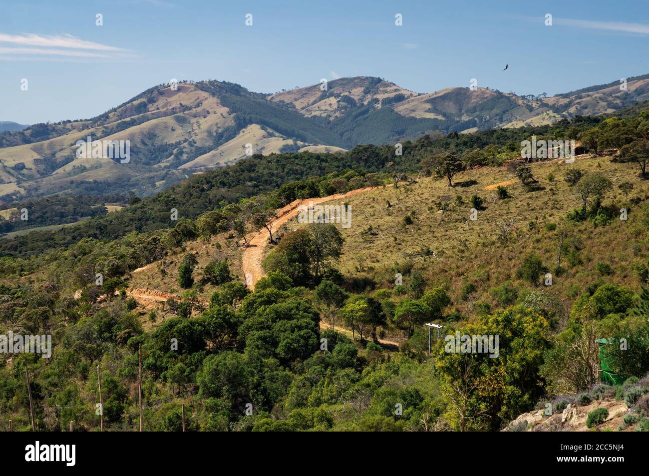 Blick von der O Lavandario Farm auf die bergige Landschaft von Cunha mit Feldwegen, die über die Hügel und um Weidefelder führen. Stockfoto