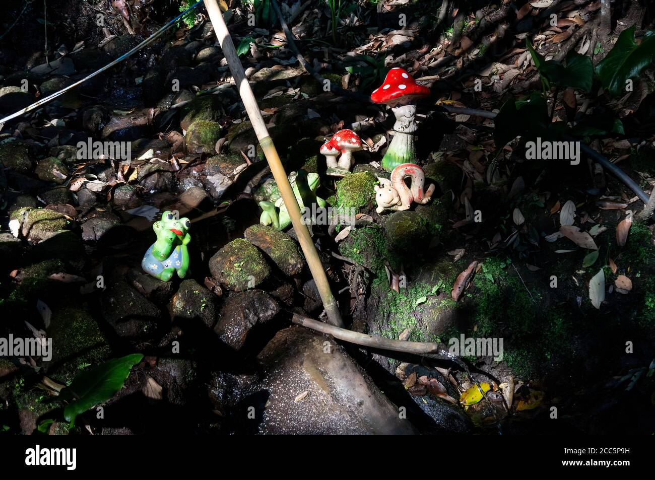 Garten Ornamente über einigen Felsen und in der Nähe eines Stromes von kristallklarem Wasser unter Baumschatten in O Contemporario Farm gefunden. Stockfoto