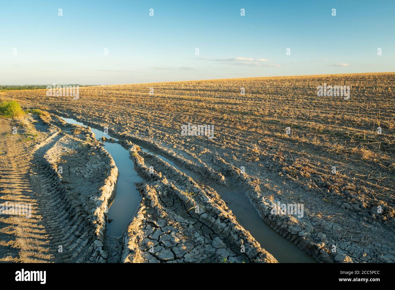 Spuren von Rädern im Schlamm und gemähten Feld auf einem Hügel, Staw, Polen Stockfoto