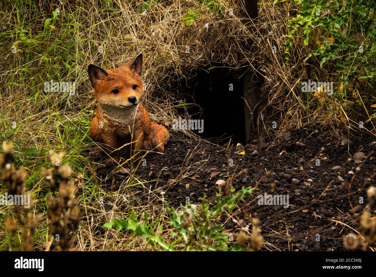 Eine echte Fuchshöhle, mit Modellfuchs.Füchse Stockfoto
