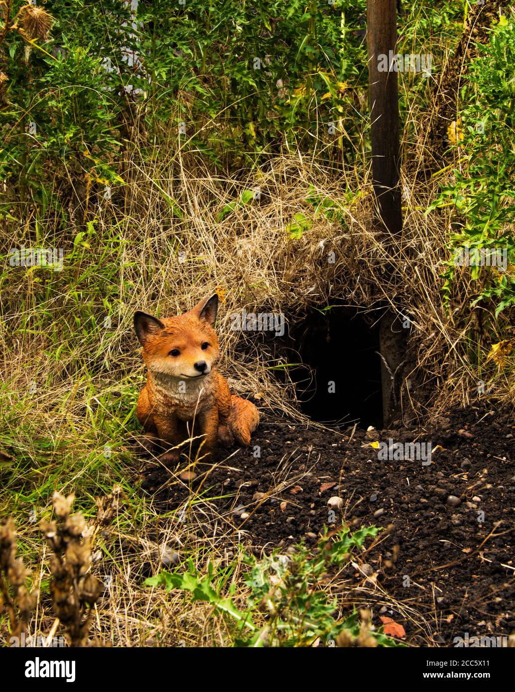 Eine echte Fuchshöhle, mit Modellfuchs.Füchse Stockfoto
