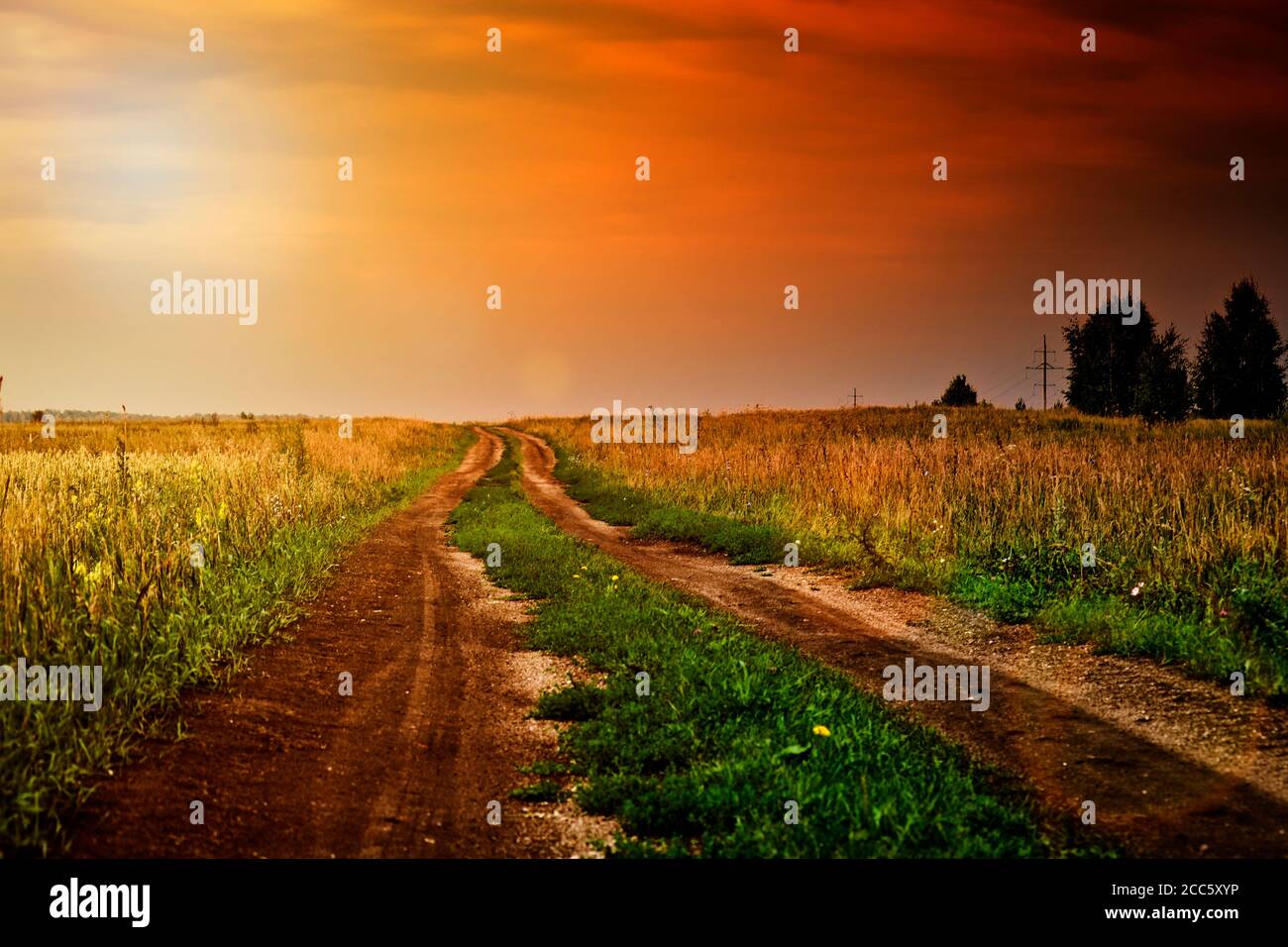 Eine düstere Feldstraße mitten im Grünen in dramatischem Abendlicht. Sommerliche Landschaft. Stockfoto
