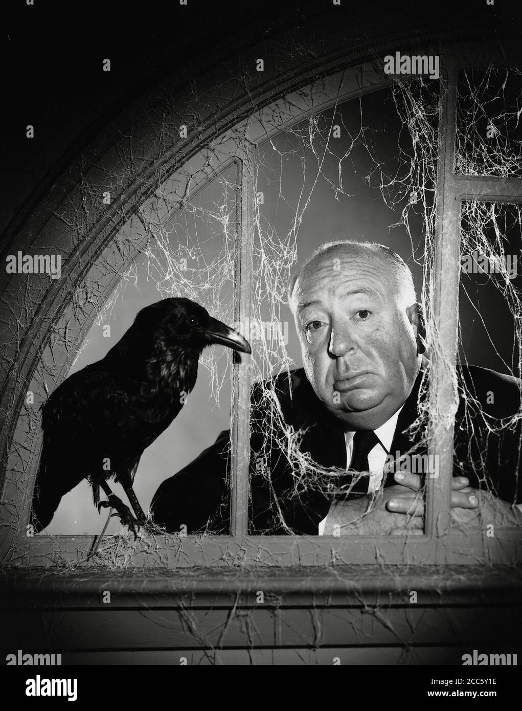 Filmregisseur Alfred Hitchcock guckt durch ein mit Spinnweben bedecktes Fenster, neben einer Krähe in einem Werbefoto für die Fernsehshow 'The Alfred Hitchcock Hour' um 1965 CBS Aktenzeichen # 34000-233THA Stockfoto