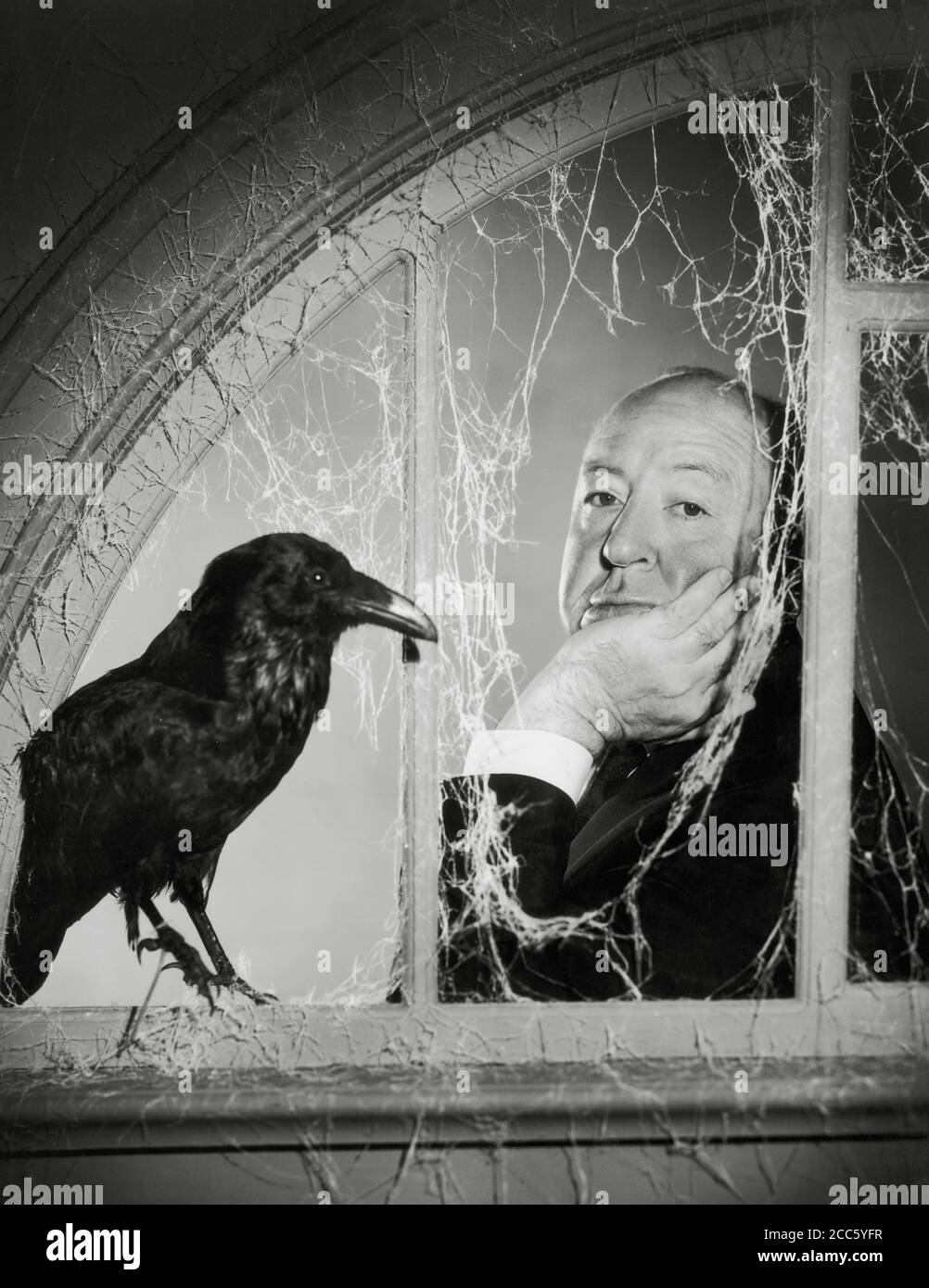 Filmregisseur Alfred Hitchcock guckt durch ein mit Spinnweben bedecktes Fenster, neben einer Krähe in einem Werbefoto für die Fernsehshow 'The Alfred Hitchcock Hour' um 1965 CBS Aktenzeichen # 34000-267THA Stockfoto