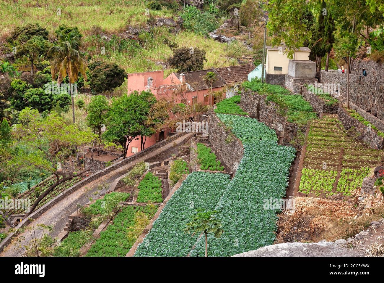 Gärten in den Higlands auf Sao Antao, Kapverdische Inseln Stockfoto
