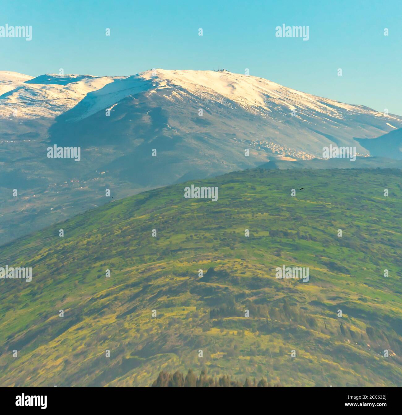 Israel, Hula Valley, schneebedeckten Hermon Berg als aus dem Agamon See im März gesehen Stockfoto
