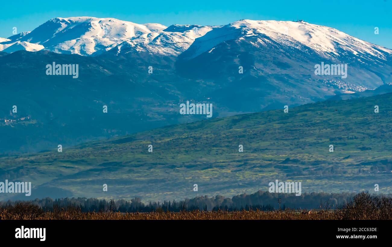 Israel, Hula Valley, schneebedeckten Hermon Berg als aus dem Agamon See im März gesehen Stockfoto