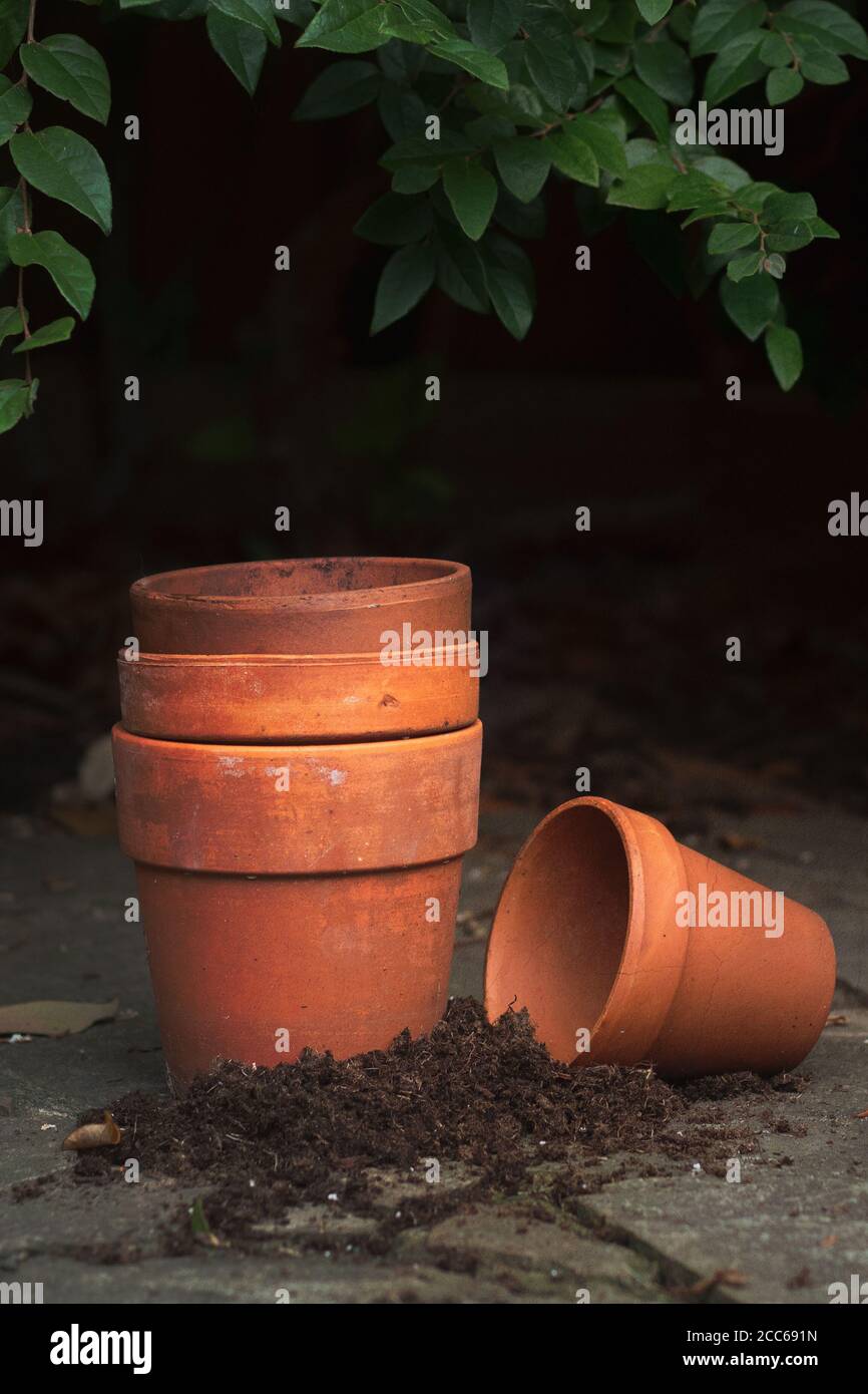 Vier leere Terracotta Töpfe auf Schiefer Terrasse mit dunkel Hintergrund Stockfoto