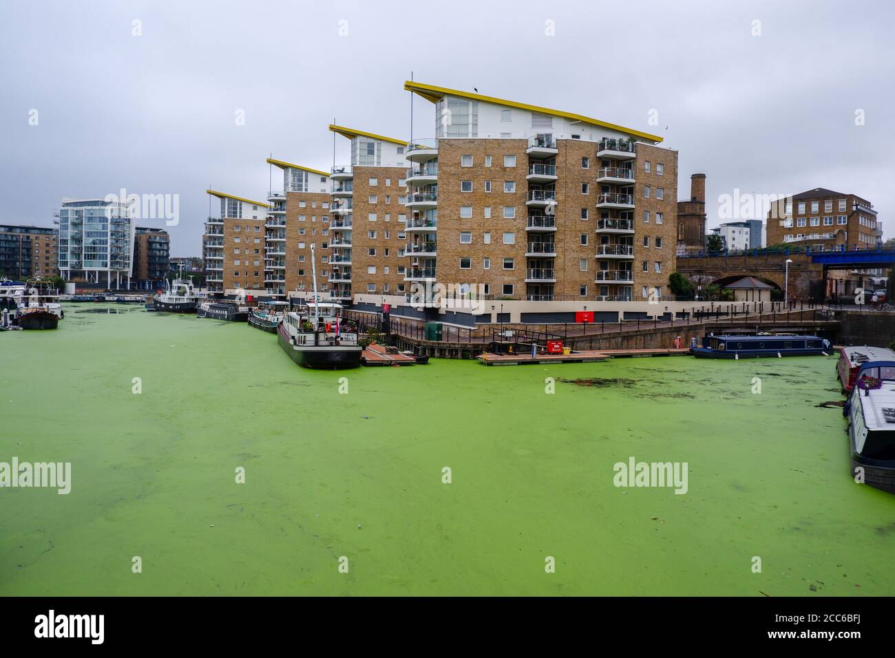 Blaualgen im Limehouse Basin im Osten Londons sind ein Docklands Marina und Wohnimmobilien Entwicklung im Borough of Tower Hamlets Stockfoto