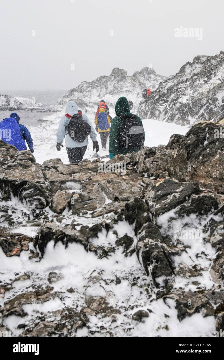 Expeditionsmitglieder wandern am King George über den Strand Insel bei der Station Bellingshausen in der Antarktis Stockfoto