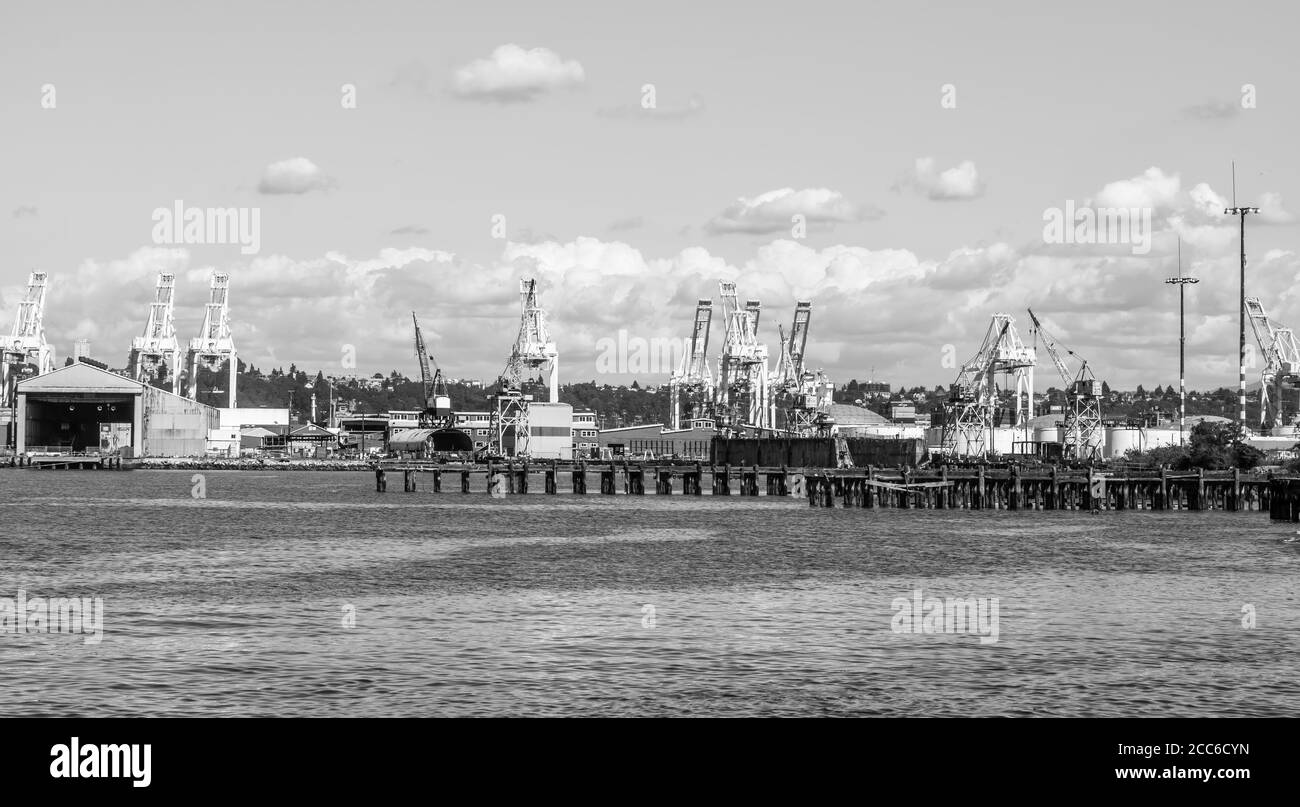 Ein Blick auf Crains entlang der Docks im Hafen von Seattle. Stockfoto