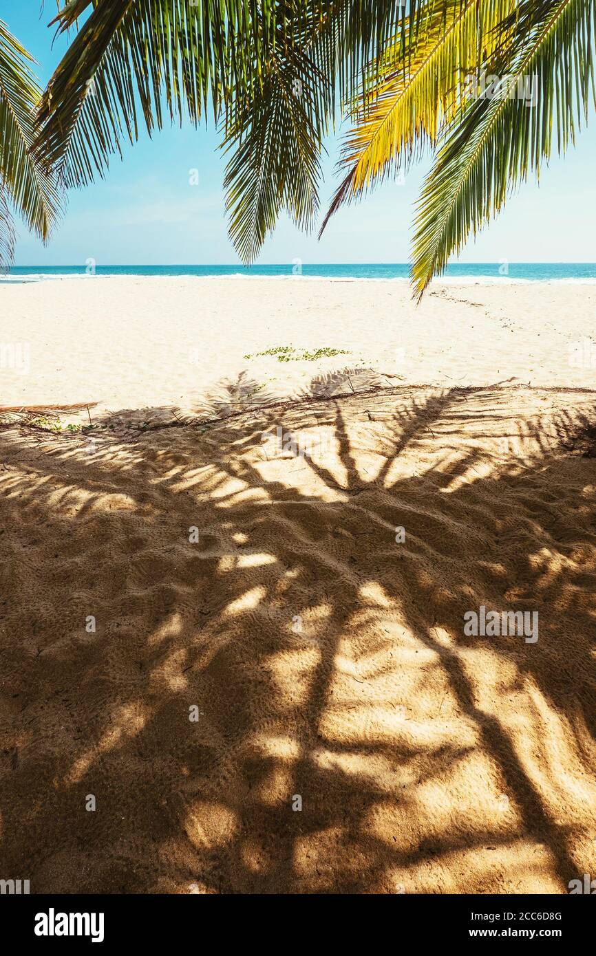 Palmenschatten auf dem Sand Stockfoto
