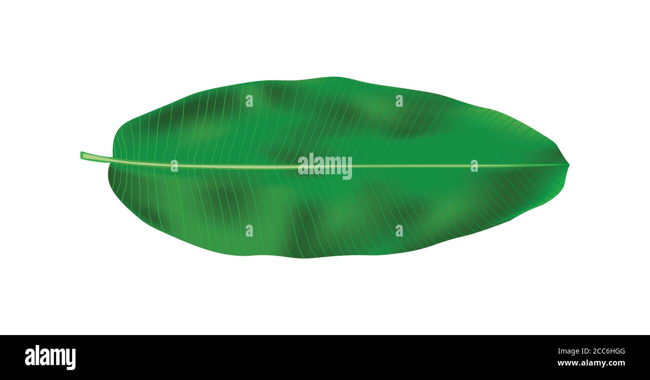 Happy Onam ein sehr berühmtes südindisches Festival von Indien. Kathakali Gesicht Vektor Design ein klassischer Tanz von Kerala Indien Stock Vektor