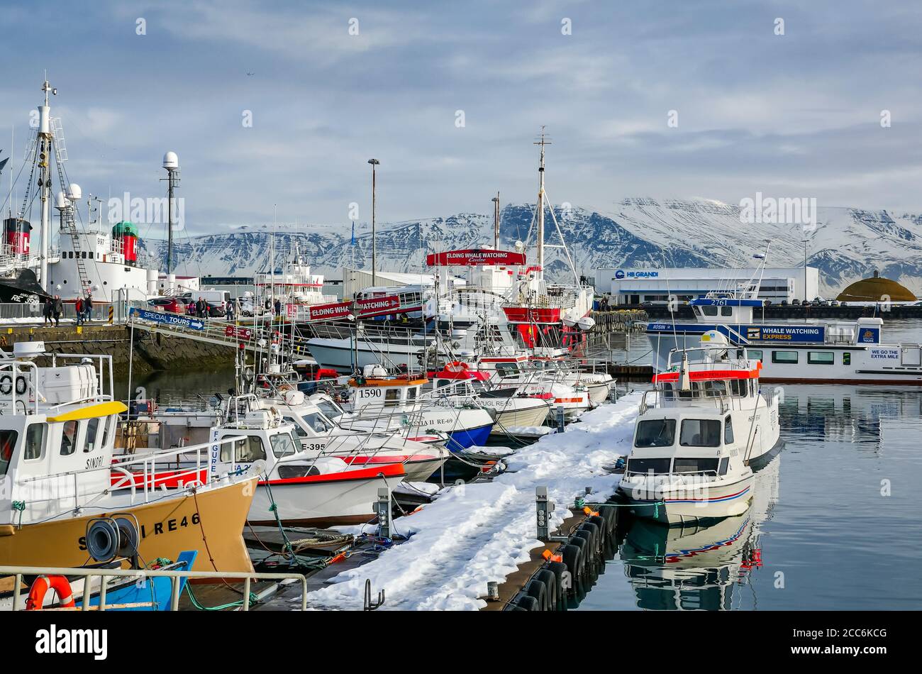 Touristen- und Fischerboote liegen im Hafen, mit Walbeobachtungsunternehmen, Rekjavik, Island im Winter mit Schnee am Pier Stockfoto