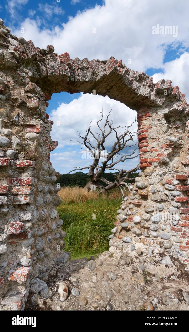 Ein Loch in einer Mauer mit einem toten Baum dahinter bei Baconsthorpe Castle, Norfolk, England. Stockfoto