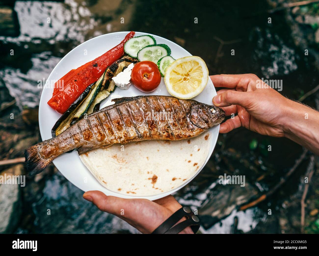 Teller mit gegrillter Forelle und Gemüse in Menschenhand Stockfoto